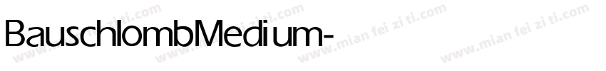 Bauschlomb Medium字体转换